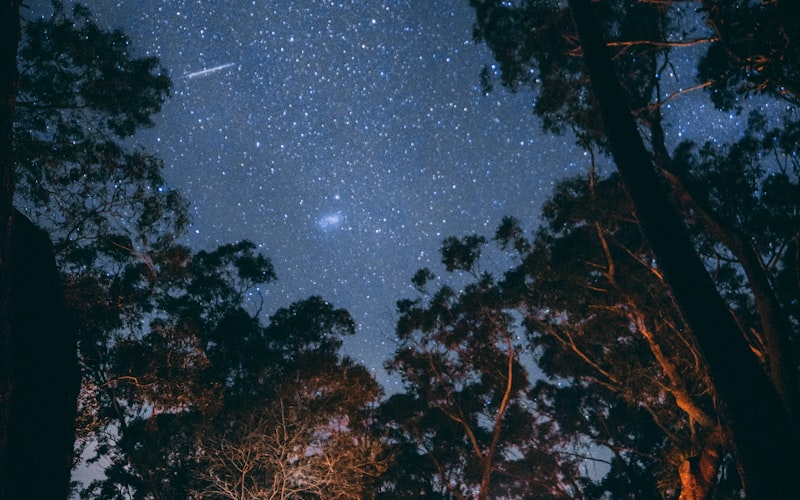 家庭用户在森林中享受星空露营的温馨画面